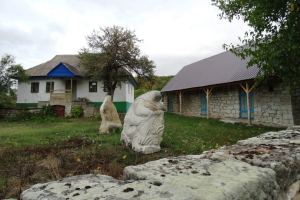Заповідник Буша